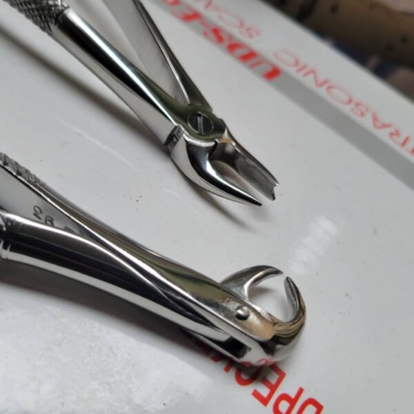 Cow horn forceps